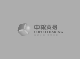 大丰国际(中国区) - 官方网站